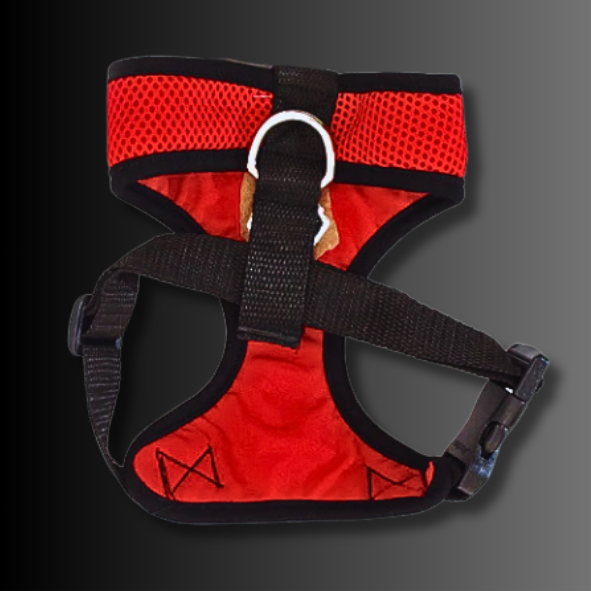 PECHERA MASCOTA AFC - Rojinegros