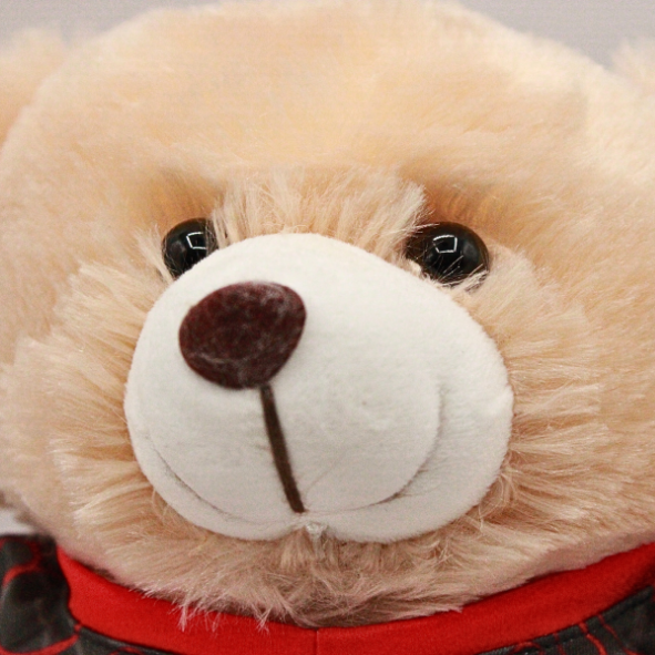 EVERBEAR ATLAS FC
