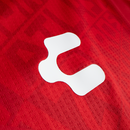 JERSEY ALTERNO MANGA LARGA PARA CABALLERO 25/26