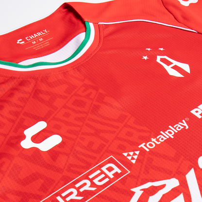 JERSEY ALTERNO MANGA LARGA PARA CABALLERO 25/26