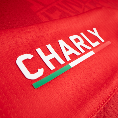 JERSEY ALTERNO MANGA LARGA PARA CABALLERO 25/26