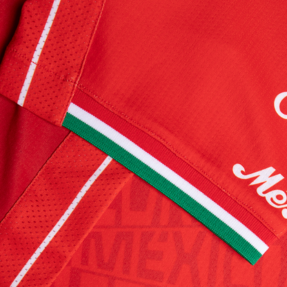 JERSEY ALTERNO MANGA LARGA PARA CABALLERO 25/26